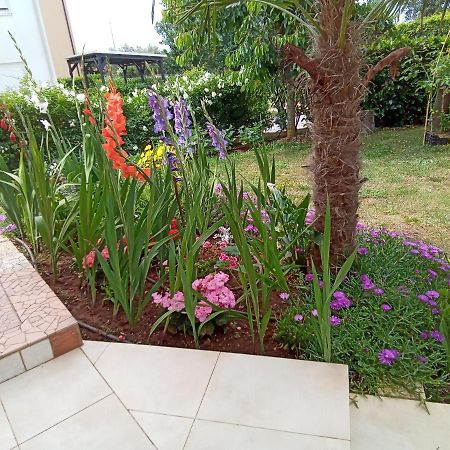 Bluegum Apartments Ližnjan Dış mekan fotoğraf