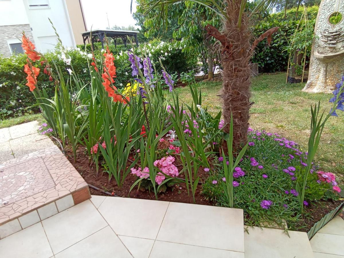 Bluegum Apartments Ližnjan Dış mekan fotoğraf